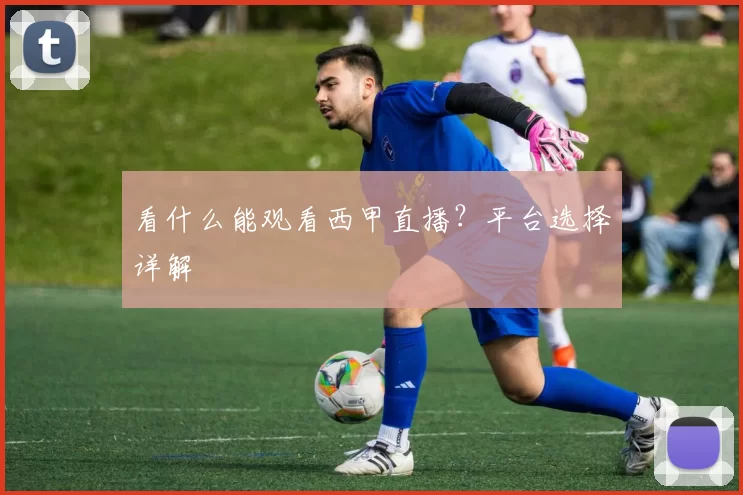 看什么能观看西甲直播?平台选择详解