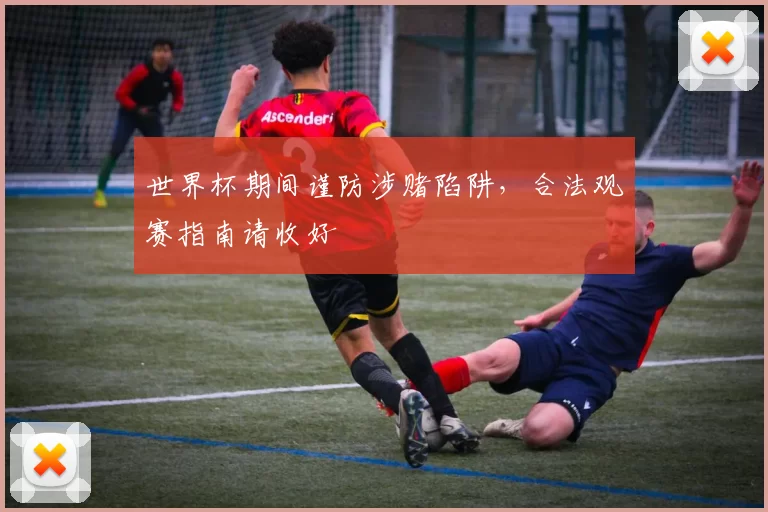 世界杯期间谨防涉赌陷阱，合法观赛指南请收好