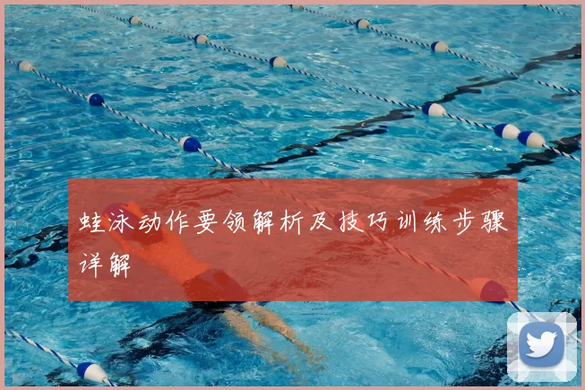 蛙泳动作要领解析及技巧训练步骤详解