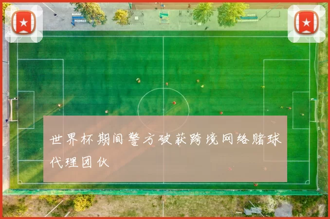 世界杯期间警方破获跨境网络赌球代理团伙