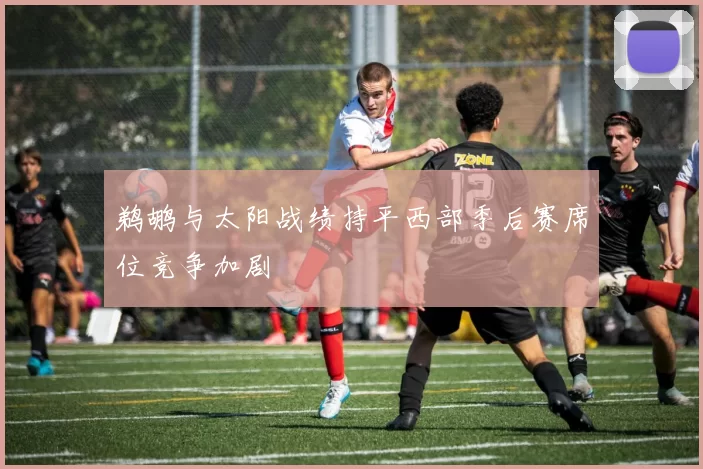 鹈鹕与太阳战绩持平西部季后赛席位竞争加剧