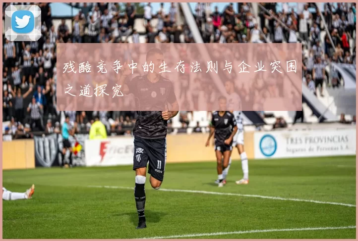 残酷竞争中的生存法则与企业突围之道探究