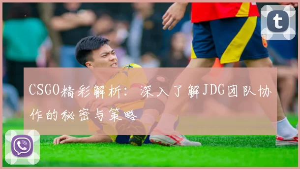 CSGO精彩解析:深入了解JDG团队协作的秘密与策略