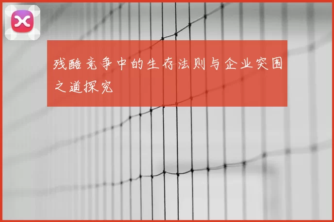 残酷竞争中的生存法则与企业突围之道探究