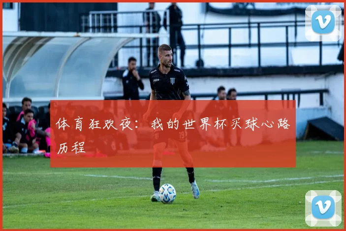 体育狂欢夜：我的世界杯买球心路历程