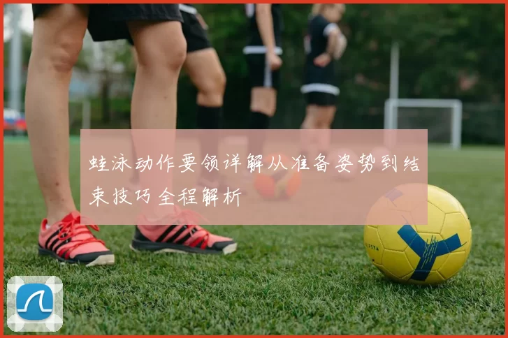 蛙泳动作要领详解从准备姿势到结束技巧全程解析