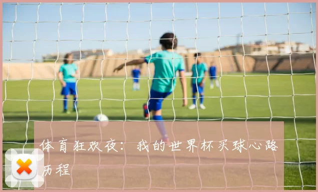 体育狂欢夜:我的世界杯买球心路历程