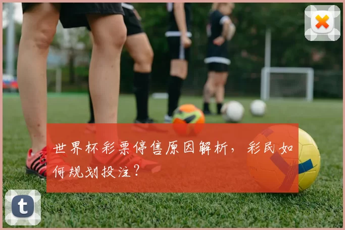 世界杯彩票停售原因解析,彩民如何规划投注?