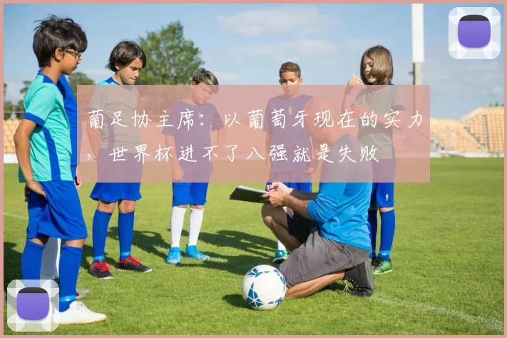 葡足协主席：以葡萄牙现在的实力，世界杯进不了八强就是失败