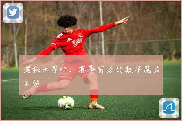 揭秘世界杯:赛事背后的数字魔力专访