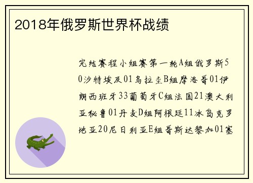 2018年俄罗斯世界杯战绩
